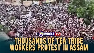 THOUSANDS OF TEA TRIBE WORKERS PROTEST IN ASSAM