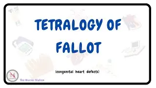 TETRALOGY OF FALLOT | Causes | Pathophysiology| Diagnosis | Surgical Treatment | Nursing Management