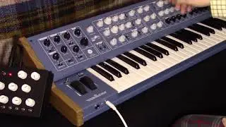 (Vermona '14/Rucci Drone/MxB): 