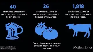 Food statistics over the world