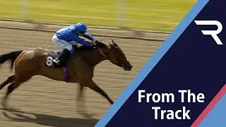 SOFT WHISPER outclasses rivals in Chelmsford feature despite racing keenly - Racing TV