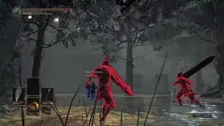 Dark Souls 3: Coward Host and an Army of blues