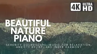 Serenity Soundscape: Music for Relaxation, Anxiety Relief, and Inner Harmony_BEAUTIFUL NATURE_4k UHD