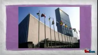Human Rights and Refugees