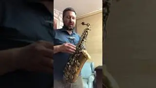 Sax Alto Borgani Vintage - Overhaul