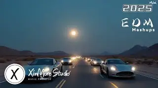 🔥EDM FESTIVAL 2024💥Remixes Of Top Hits 🎧 Electronic Anthems 💥