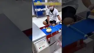 Il LAVORO pi&ugrave; FACILE al MONDO😱🍞