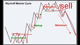 PHASES IN THE CRYPTO BULL MARKET YOU SHOULD UNDERSTAND  || #shorts
