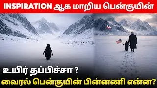 Antarctica Penguin walk to the Mountain? | Behind the reason | Tamil #viralpenguin