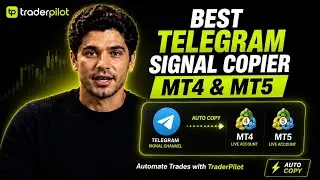 Best Telegram Signal Copier for MT4 & MT5 | Automate Trades with TraderPilot