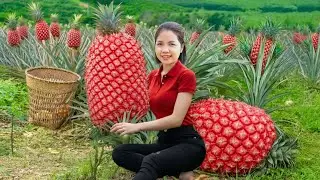 TIMELAPSE - Harvesting 5000+Kg GIANT Pineapple Purple To Sell At The Market | Hana Market