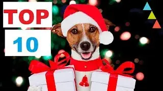 Top 10 Best DOG CHRISTMAS Gift 🎁 ideas 2018📩 (Your dog will thank you)