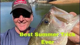 It Took Me 30 Years To Learn This July Bass Fishing Trick..