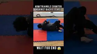Quick Arm Triangle From Back #shorts #trending #youtubeshorts #mma #bjj