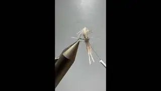 Montage d'un spent SC Fly Shop