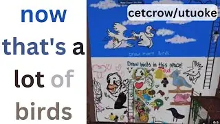 drawing birds with a pro server