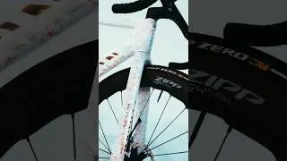 This is the Leo #MyCanyon artwork being brought to life ✨