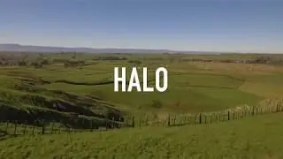 Halo Milk