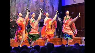 Die gro&szlig;e Johann Strauss Gala - Eine Wiener Operetten Revue
