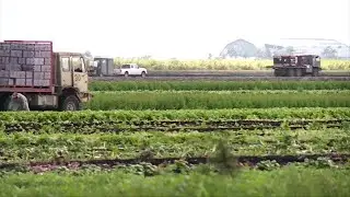 'Farm Bill' threatens First Amendment rights, critics say