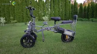 ESWING M18 All-Terrain Stability Suspension Electric Tricycle