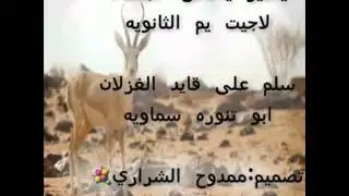 طيري غدا والسلوقي راح