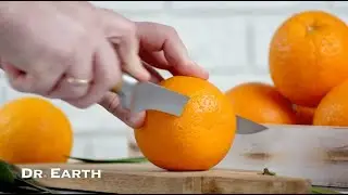 GROWING ORGANIC ORANGES