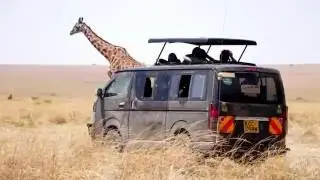 Mara River Lodge 2016 -MAASAI MARA, KENYA