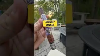ChiMolly Pioneer