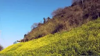 BMCC Audio TEST LMA