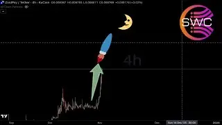 This Crypto Is UP 4488% Since August - Here's How To Get It On Kucoin - $ZPAY - $OTHER