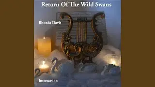 Return Of The Wild Swans