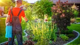 Dallas Fort Worth Pest Control 214 613 1962 Termite Treatments