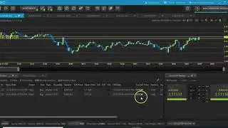 Apiary Fund Software Tools - See Winning Trades Executed