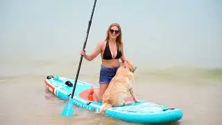 COOLCAA Paddle Board 丨The COOLCAA SUP Board Collection is one of the best SUPs on the market