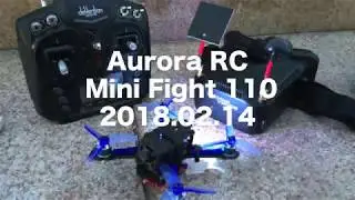 Aurora RC Mini Fight 110 2018.02.14