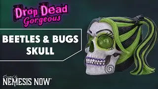 Drop Dead Gorgeous Beetles and Bugs Skull | Gothic D&eacute;cor by Nemesis Now.