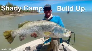 Huge Barra! Shady Camp Build Up