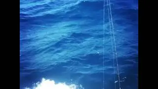 Chasing a sailfish on a rough day aboard the Captain Easy 1-17