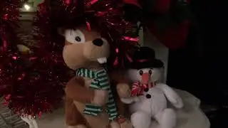 Dancing cats compilation