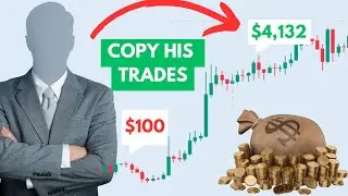 Hotforex Hf Copy review | Hotforex Copytrading