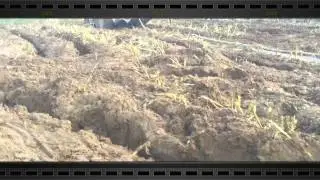 ensilage 2012 belle-ile en mer