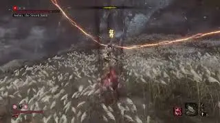 SEKIRO - Isshin No Damage live at EKYC