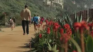 Border to Border: A Quick Overview of the California Coastal Trail