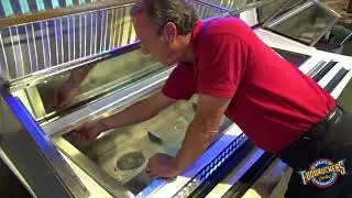 Produce Bar Disassembly