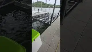 13,500 LB of LOTO Lift Power, 12 Feet of Coverage