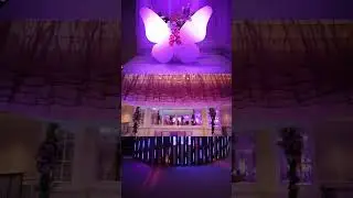 Diakon Events | #youtubeshorts #weddingsdegoa #wedding #shorts #event