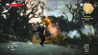 The Witcher 3 Wild Hunt Hearts of Stone Ancient Leshen Don't give a fuck!