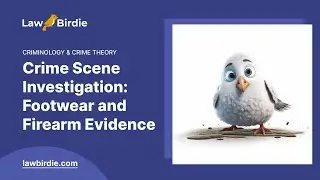 Crime Scene Investigation: Footwear and Firearm Evidence - Essay Example