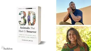 An Inside Look: Animals That Inspire Human Ingenuity